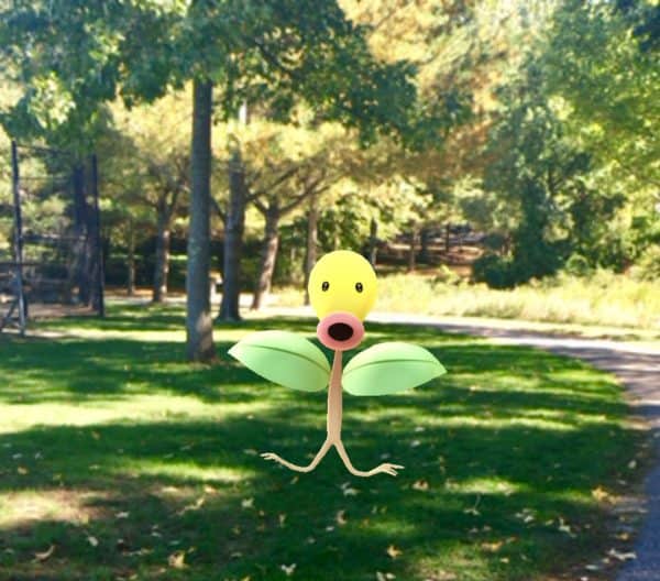 bellsprout-pokemon-juggling-with-julia