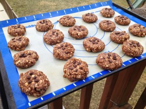 No-Bake High Energy Chocolate Peanut Butter Cookies -- Juggling With Julia