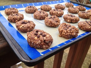 No-Bake High Energy Chocolate Peanut Butter Cookies -- Juggling With Julia