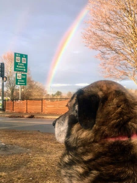 Hometown rainbows over North Reading - Juggling with Julia