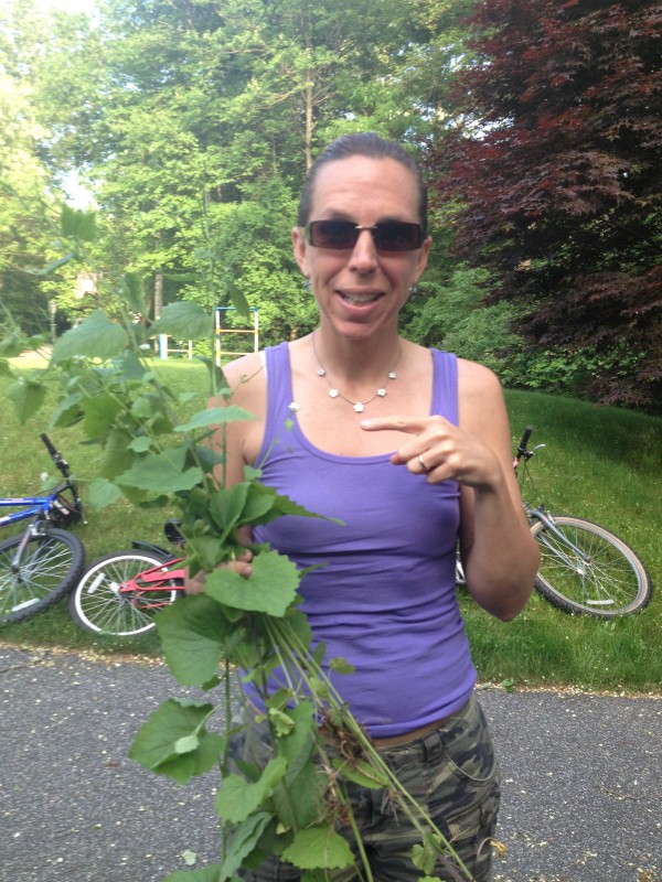 Garlic Mustard plant -- Juggling With Julia