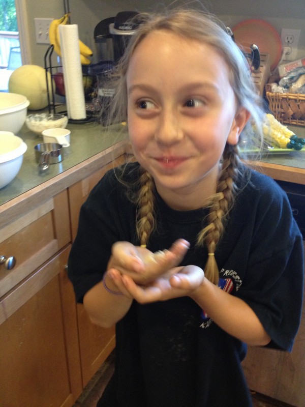 Whole Grain Oatmeal Cookies - Juggling with Julia