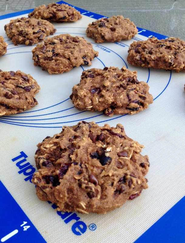 Whole Grain Oatmeal Cookies -- Juggling With Julia