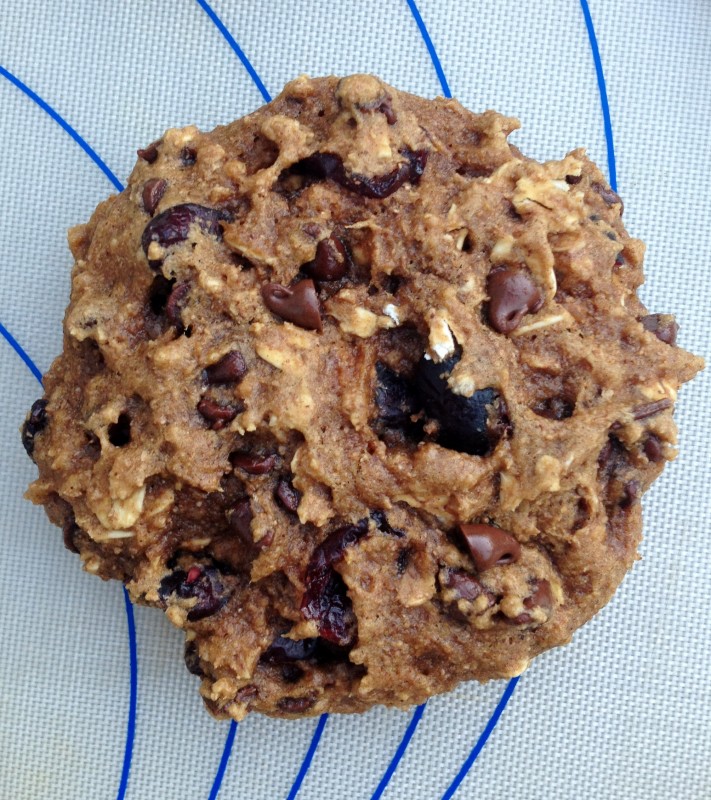 Whole Grain Oatmeal Cookies -- Juggling With Julia