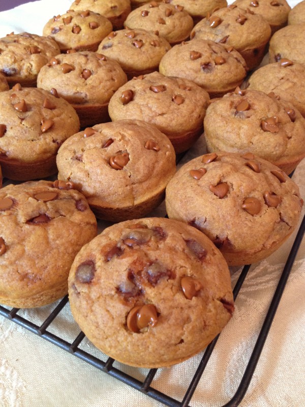 Pumpkin Muffins with Cinnamon Chips-- Juggling With Julia