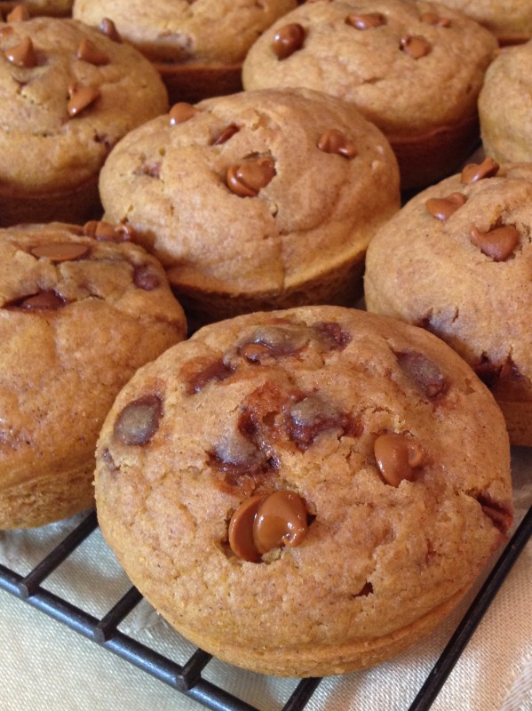 Pumpkin Muffins with Cinnamon Chips -- Juggling With Julia