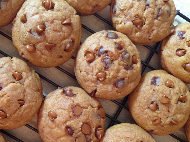 Pumpkin Cinnamon Chip Muffins -- Juggling With Julia