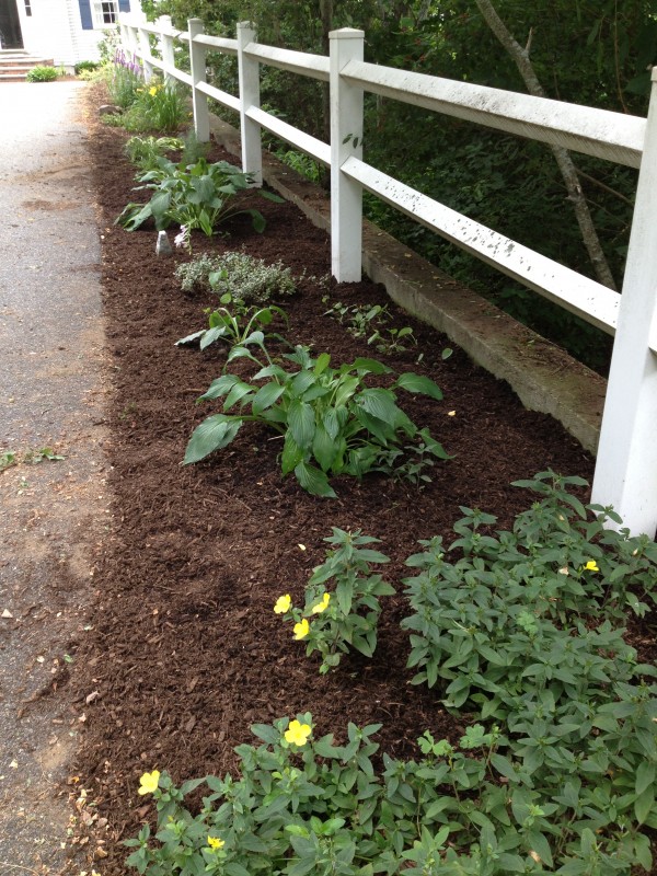 Garden Handiwork -- Juggling With Julia