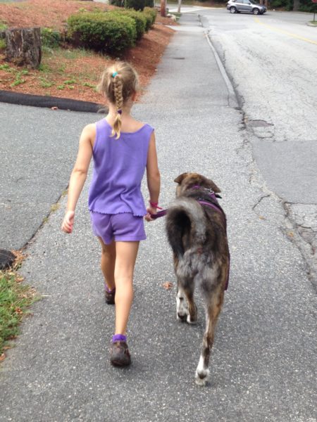 Jazzy's Dog Diary -- Juggling With Julia