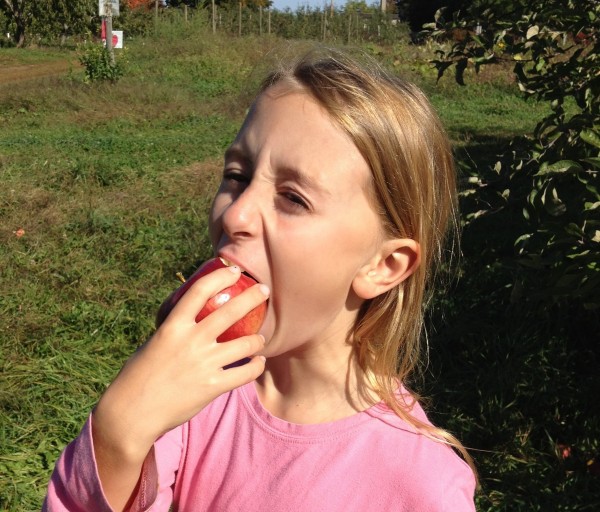 Chunky Apple Snack Cake -- Juggling With Julia