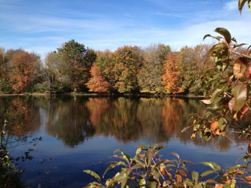 Ipswich River Park Oct 2013 -- Juggling With Julia