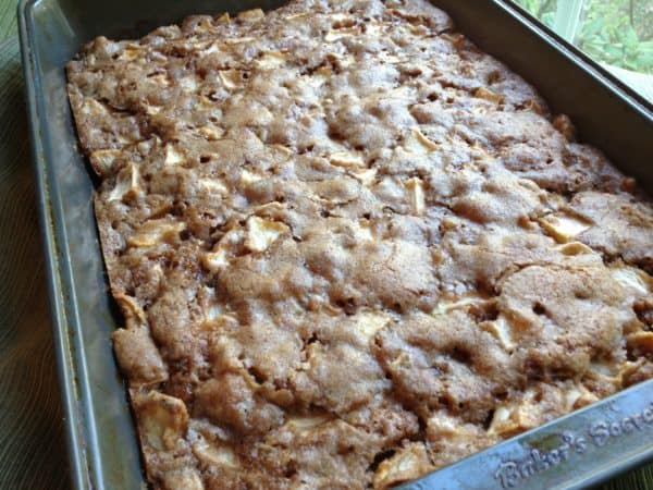 Chunky Apple Snack Cake -- Juggling With Julia