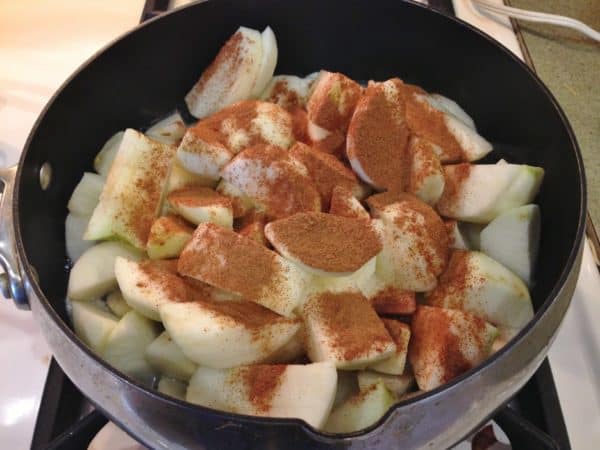 Old-fashioned Chunky Cinnamon Applesauce -- Juggling With Julia