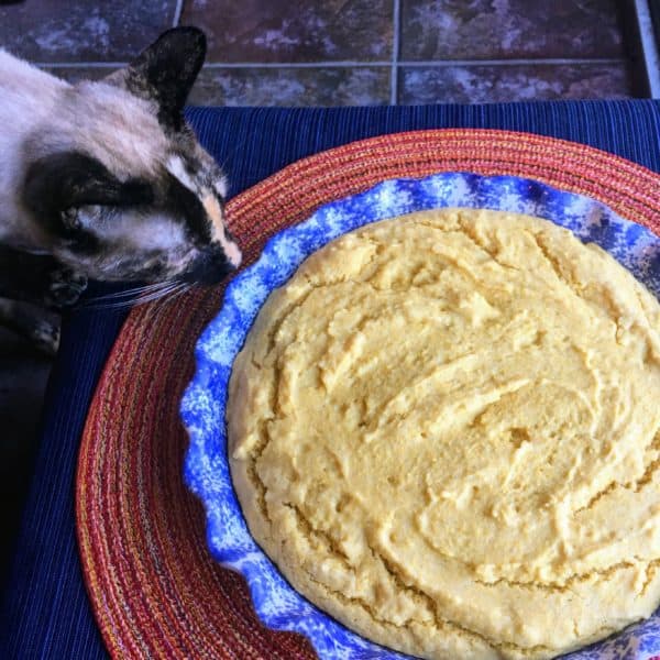 Gluten Free Cornbread - juggling with julia