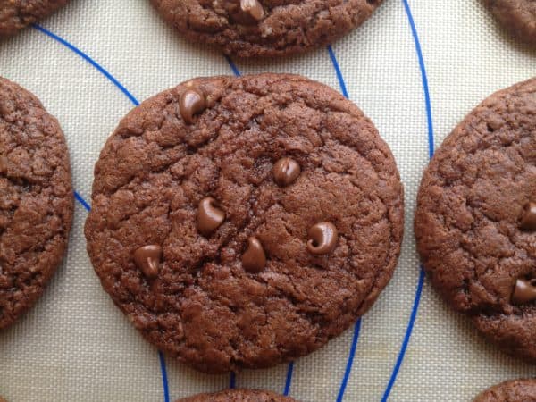 Chewy Double Chocolate Cookies for RD Day -- Juggling With Julia