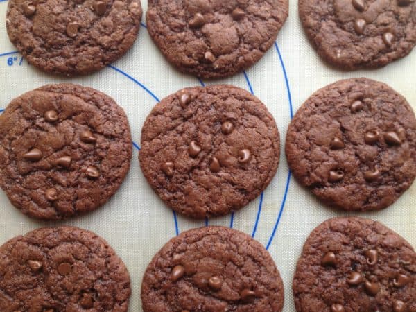 Chewy Double Chocolate Cookies for RD Day -- Juggling With Julia