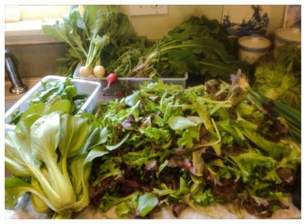 Salad Greens with Spinach Arugula Pesto -- Juggling with Julia