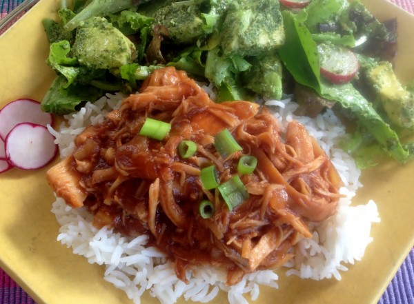 Spicy Sweet Shredded Cranberry Chicken - Juggling with Julia