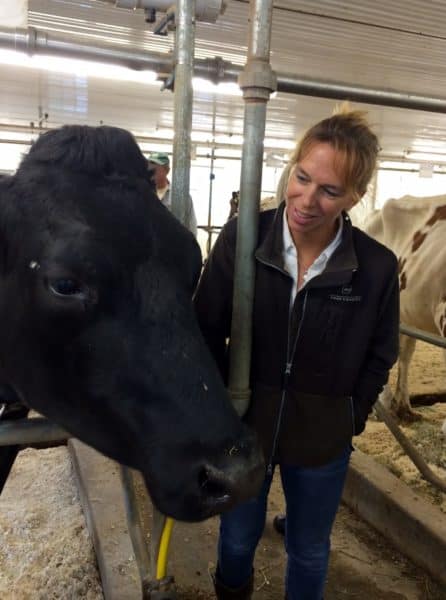 local dairy farm - Juggling With Julia