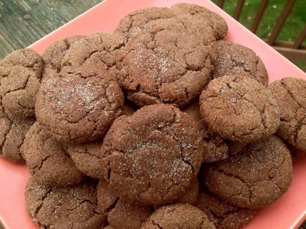 Chocolate Snickerdoodles -- Juggling With Julia