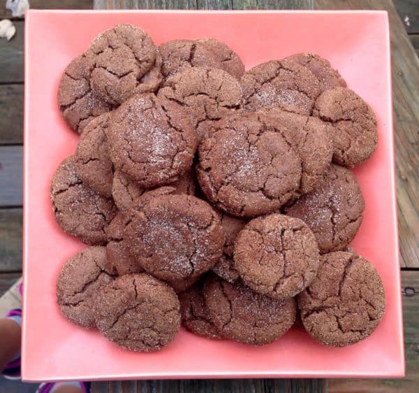 Chocolate Snickerdoodles -- Juggling With Julia