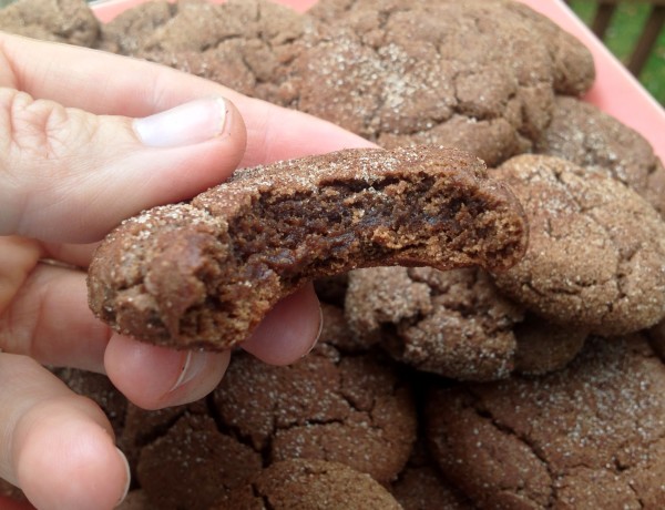 Chocolate Snickerdoodles -- Juggling With Julia