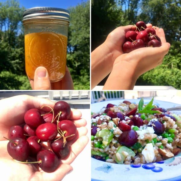 Cherry and Feta Farro Salad - juggling with julia