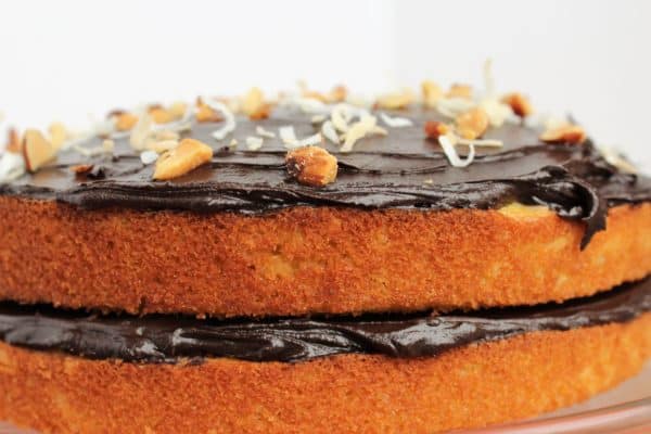 Coconut Dark Chocolate Almond Joy Cake