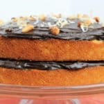 Coconut Dark Chocolate Almond Joy Cake