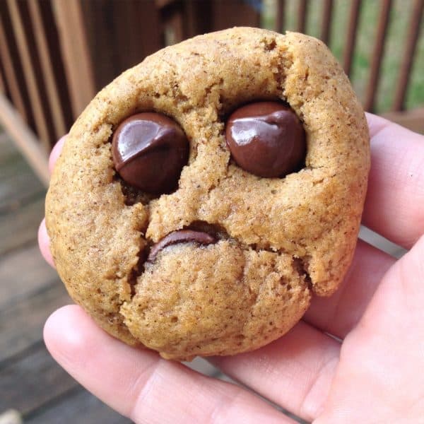 Pumpkin Spice Cookies with Dark Chocolate -- Juggling With Julia