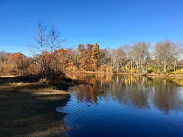 6 ways to add fun and purpose to your daily walk - juggling with julia