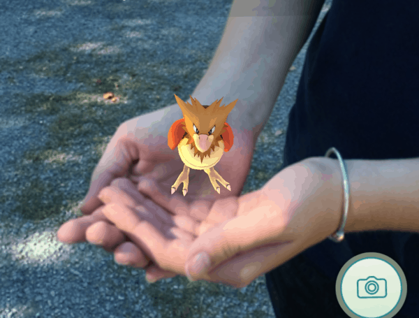 spearow-in-hand-juggling-with-julia