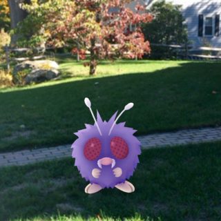 Why I Pokemon Go For Walks - Juggling with Julia